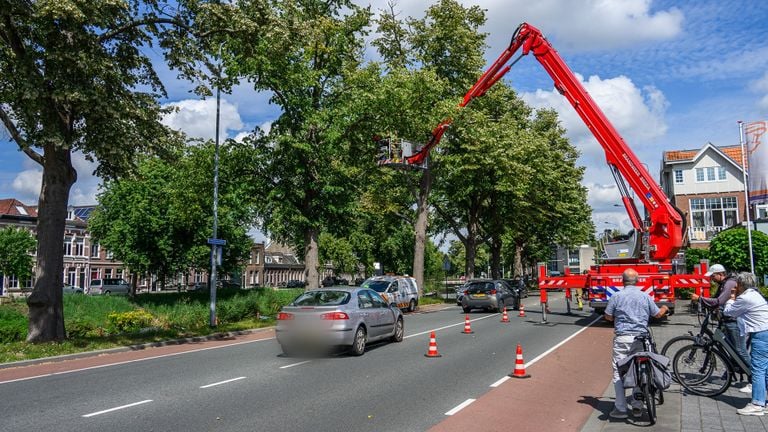 Photo: Tom van der Put/Persbureau Heitink