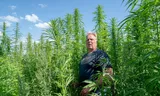 From dairy cattle to hemp: pioneer against will and thanks