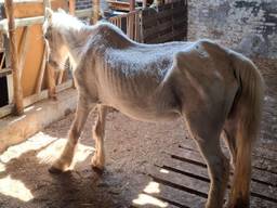 https://api.omroepbrabant.nl/img/f/$width$/$height$/0.48/0.36/bWVkaWEvcHJvZC80NzIwNTAyLmpwZz9zdj0yMDE5LTA3LTA3JnN0PTIwMjAtMDEtMDFUMDAlM 0EWMCUZQTAWIZZZT0YMDQWLTAXLTAXVDAWJTNBMDALM0EWMFOMC3I9YIZCD1YJNNNP ZZ1TSFNCVJE5BXM0Q1RJCETDMKROQIUYRKG3T3BCWGFSRDDDQJVGUGHLRWFZTLKLM0Q =