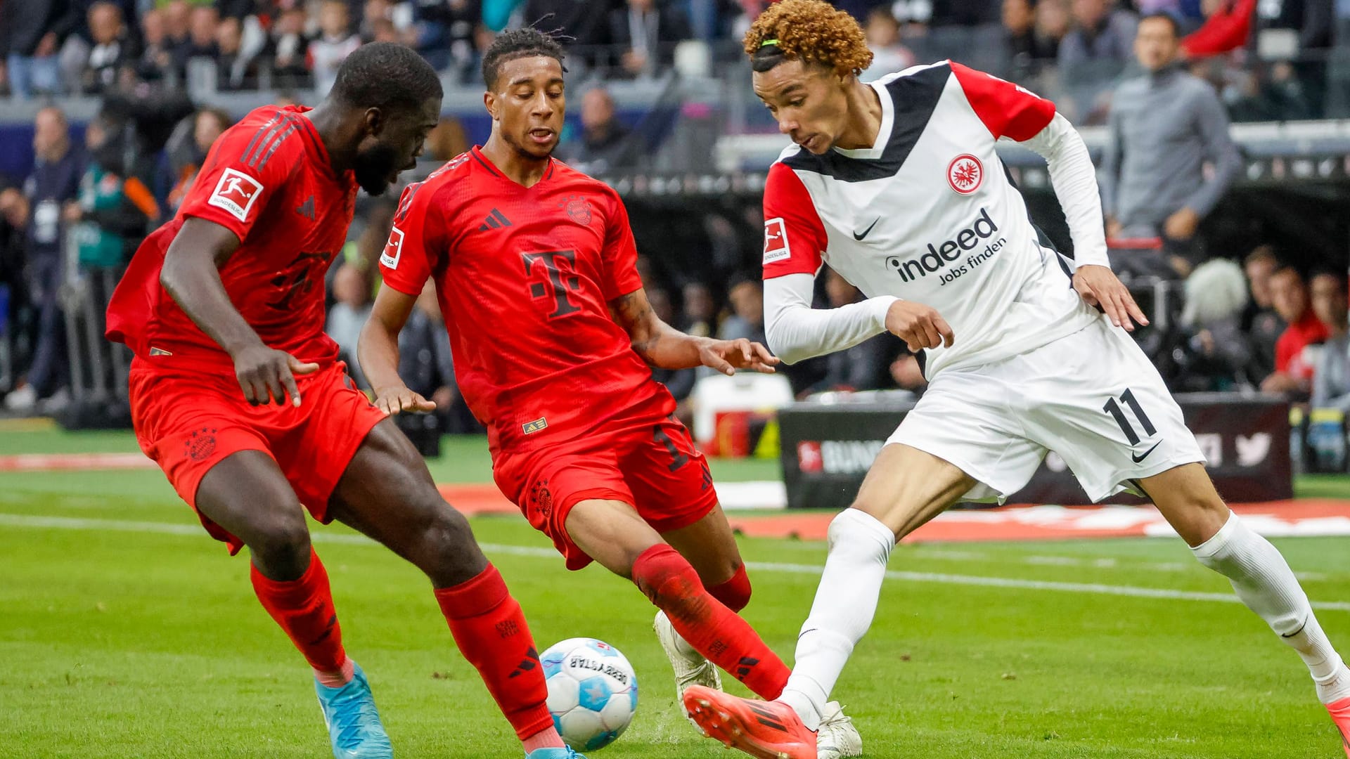Hugo Ekitiké (right): The Frenchman stands in front of a departure from the Bundesliga. Hugo Ekitiké (right): The Frenchman stands in front of a departure from the Bundesliga.