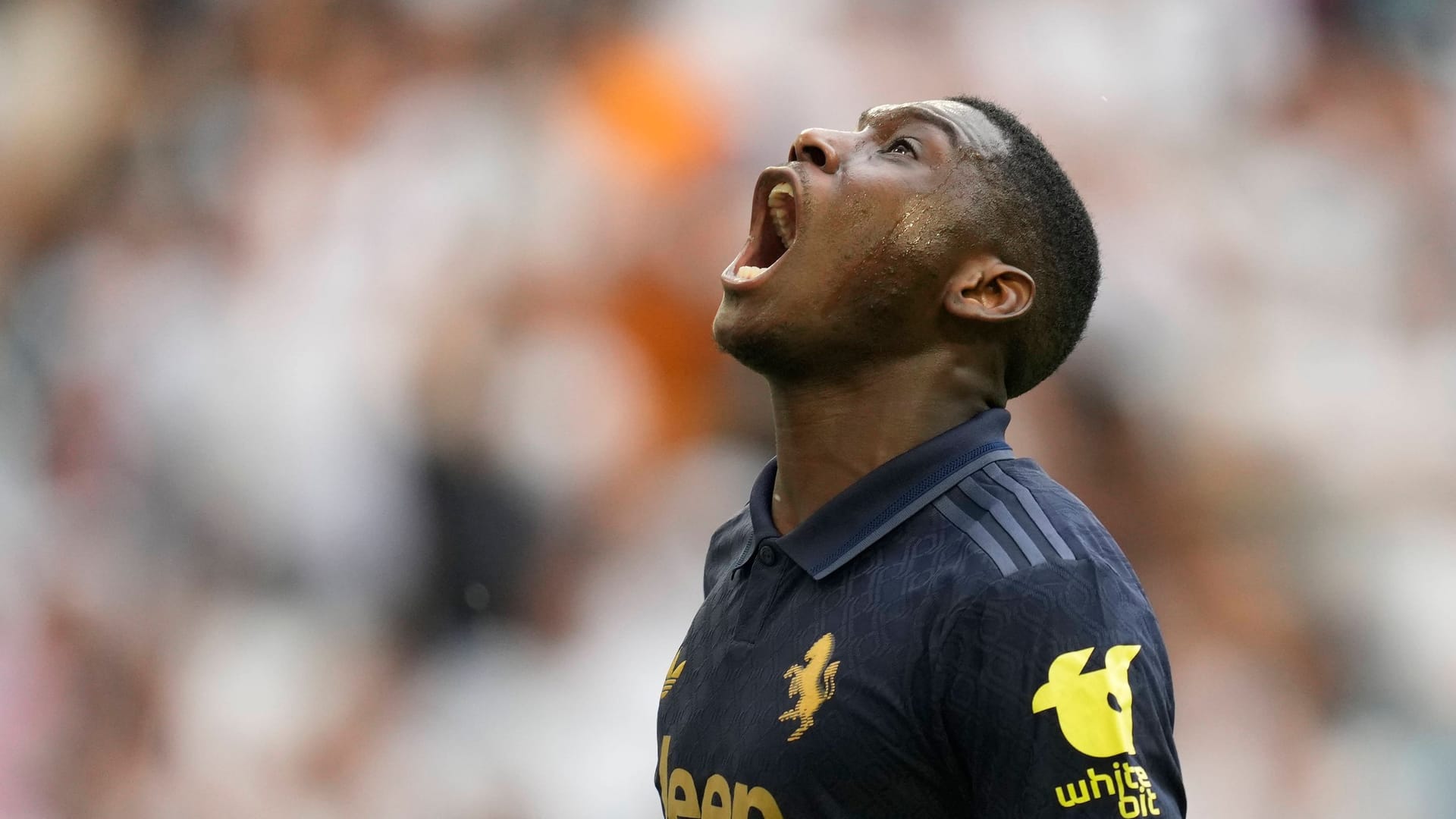 Randal Kolo Muani: He experienced his most successful time in Frankfurt.