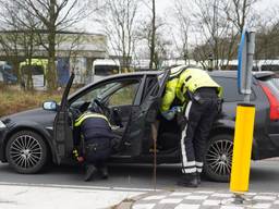 https://api.omroepbrabant.nl/img/f/$width$/$height$/0.5/0.5/bwvkaWevchjvzc80nja4mtm1lmpwz9zdj0ymde5lta3lta3jnnn0ptiwmdetmdetmdetmdetmdetmdetmdetmdetmdetmdetmdetmdetmdetmdetmdetmdetmdetmdetmdetmdetmdetmdetmdetmdetmdetmdetmdetmdetmdeth Mcuzqtawwizzt0ymdqwltaxltaxltaxvddawjtnbmdalm0ewmfomc3i9yizcd1yjnnpzz16otylmkjttelmkzka0durhkzemqlmkj2yjruhnnwxkne