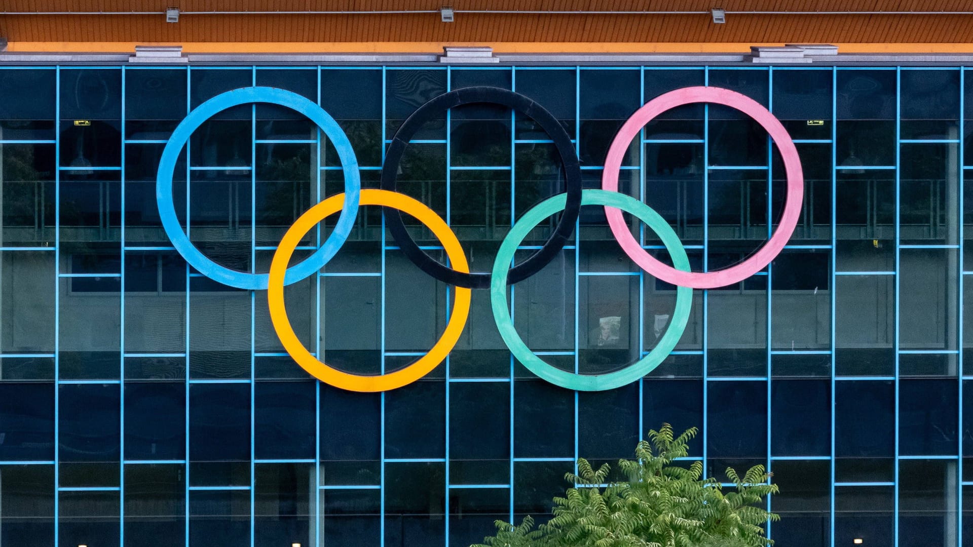 The Olympic Rings: Can you be seen in Qatar in 2036?