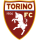 FC Turin