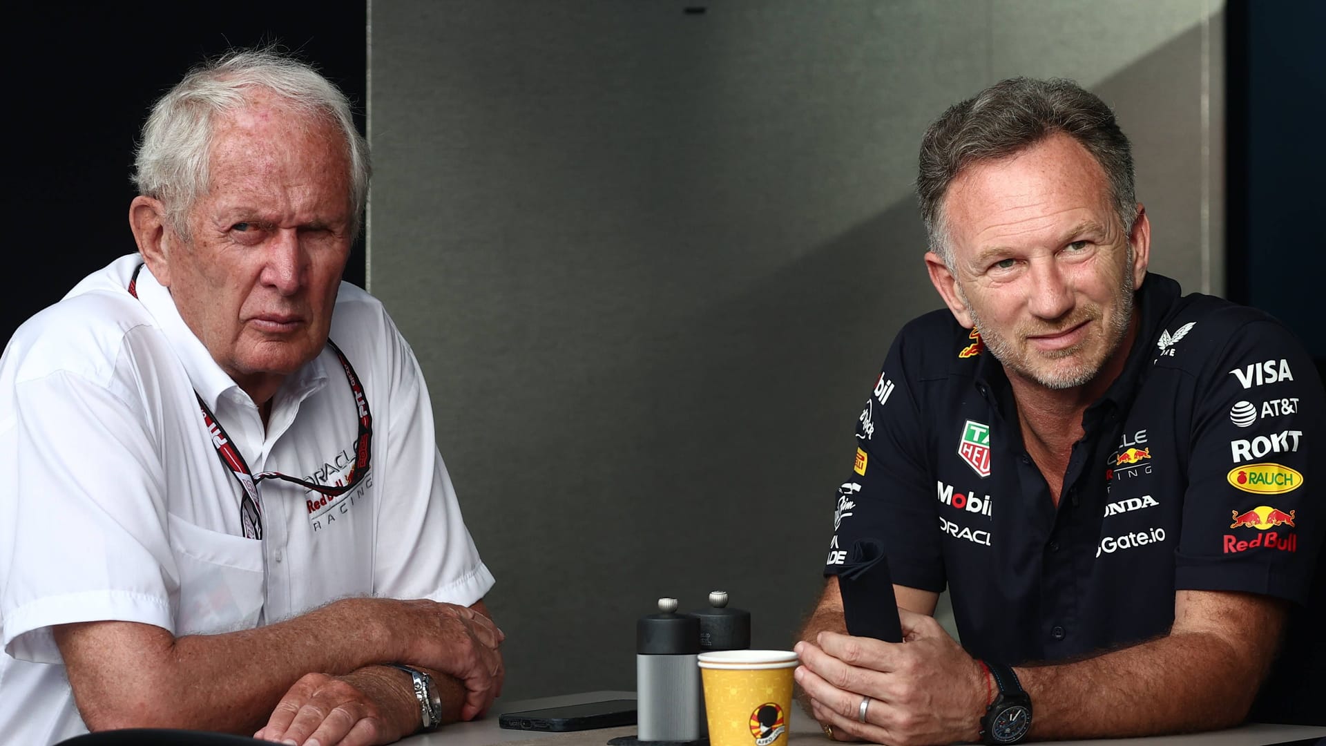 Helmut Marko (left) and Christian Horner: The two Red Bull bosses were not always green.
