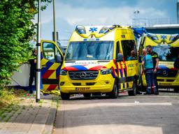 https://api.omroepbrabant.nl/img/f/$width$/$height$/0.47/0.4/bWVkaWEvcHJvZC80NzIzNjQxLmpwZz9zdj0yMDE5LTA3LTA3JnN0PTIwMjAtMDEtMDFUMDAlM0EwM Cuzqtawizzt0ymdqwltaxLtaxvdawjtnbmdalm0ewmfomc3i9yizcd1yjnnpzz1Qevvev Jijtjcwlulmkju1hmrvzzjdxbgy0jtjga1zmvgxizfkxmgi3tiuyqli4t3Led00lm0q = =