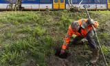 Peter Klaver from ProRail is looking for damage caused by badgers along the track at the Maasdijk in Ravenstein.  