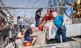 Shrimp fishermen at work in the port of Den Oever. Photo Simon Lenskens 