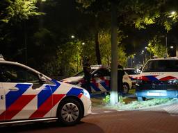 https://api.omroepbrabant.nl/img/f/$width$/$height$/0.5/0.5/bWVkaWEvcHJvZC80NzM0NDQ4LmpwZz9zdj0yMDE5LTA3LTA3JnN0PTIwMjAtMDEtMDFUMDAlM0 EWMCUZQTAWIZZZT0YYMDQWLTAXLTAXVDAWJTNBMDALM0EWMFOMC3I9YIYJNNPZZ1HIXJCU3DOUJJFZQXZMSCUWYRUYDHMYMYMYLEKGKKK