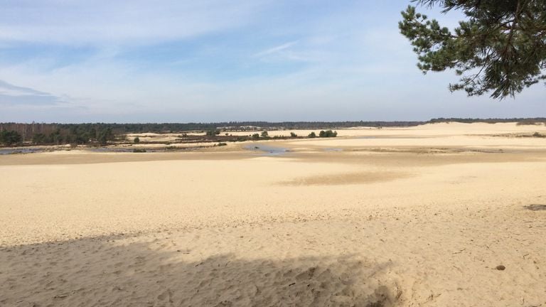 Brabantse Sahara (photo: Frans Kapteijns).