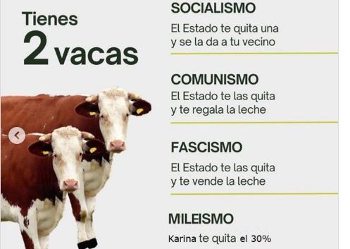 Memes