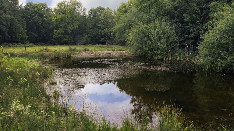 De Zevenhutten (photo: Brabant Landscape).