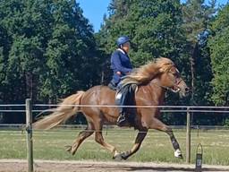 https://api.omroepbrabant.nl/img/f/$width$/$height$/0.39/0.39/bWVkaWEvcHJvZC80NzE4NDk0LmpwZz9zdj0yMDE5LTA3LTA3JnN0PTIwMjAtMDEtMDFUMDAlM 0EwMCUzQTAwWiZzZT0yMDQwLTAxLTAxVDAwJTNBMDAlM0EwMFomc3I9YiZzcD1yJnNpZz1INDZHUEJ3a2JxRjFIJTJGVnFBd2sxdVc3a0RVb1pSdldJWTh3SHo1UzJXMjglM0Q=