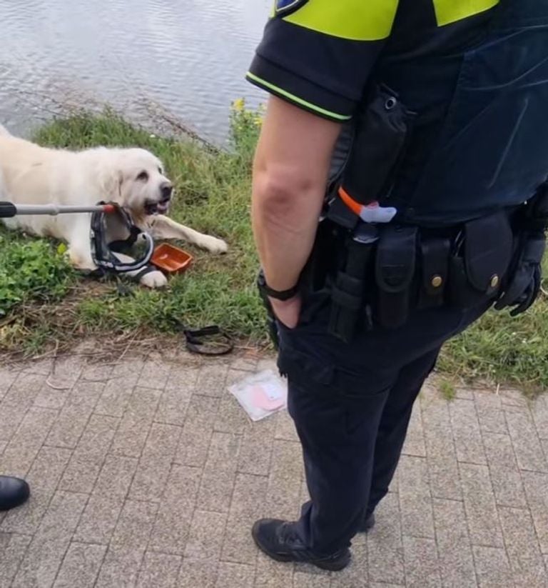Photo: Instagram Police Tilburg Center.