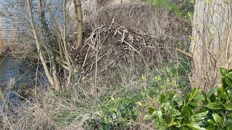 This Beverburcht has been causing a lot of misery in Boxmeer for more than five years (photo: Jos Verkuijlen).