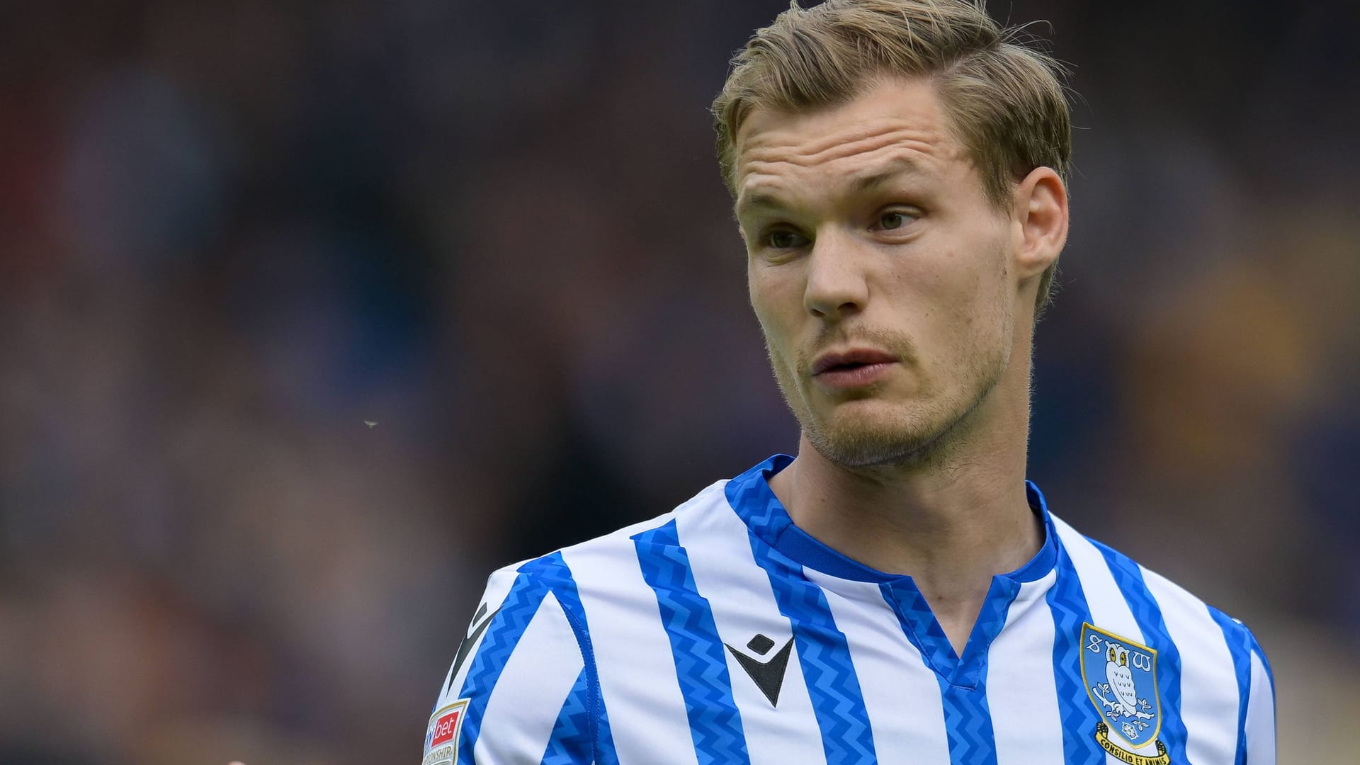 Svante Ingelsson: He moved from Rostock to the island last summer.