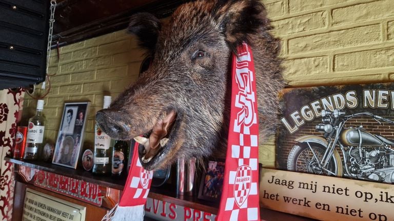 Even a boar in the eatery is completely Brabants (photo: Tom Berkers).