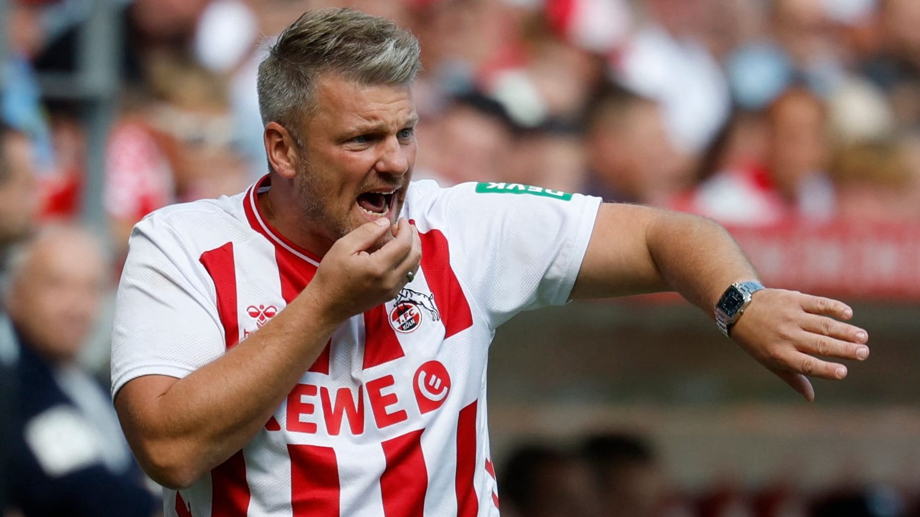 Lukas Kwasniok: The Cologne coach chose a jersey on the sidelines.
