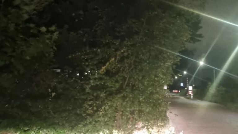 The boys threw stones to the cycle path (photo: Instagram Police Groene Beemden).