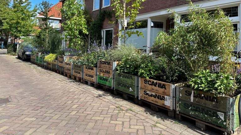 These bins with green are in places where cars could park earlier (photo: Rogier van Son). 