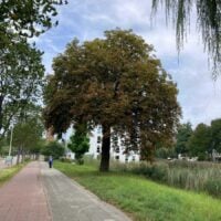 Autumn Zoetermeer