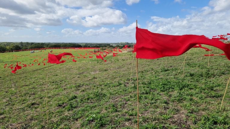 The sea of ​​red flags on the Vlagheide in Schijndel (photo: Tom Berkers).