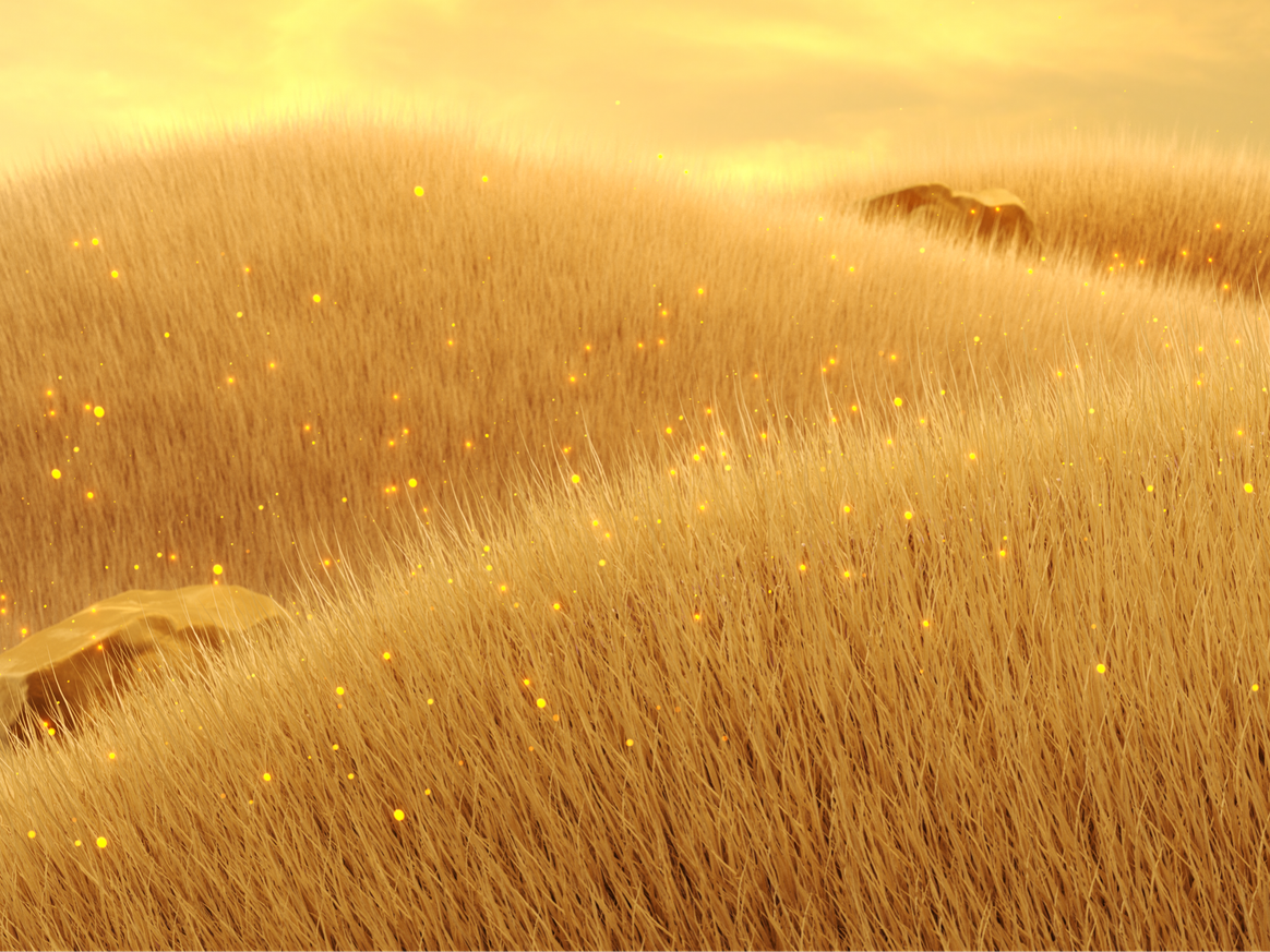 The color maize