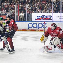 Berlin's Leo Pföderl (in white) in the game against Cologne (Imago Images/Gerhard Wingender)