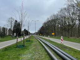 https://api.omroepbrabant.nl/img/f/$width$/$height$/0.45/0.61/bWVkaWEvcHJvZC80NDM4NzAzLmpwZz9zdj0yMDE5LTA3LTA3JnN0PTIwMjAtMDEtMDFUMDAlM 0EWMCUZQTAWIZZZT0YMDQWLTAXLTAXVDAWJTNBMDALM0EWMFOMC3I9YIZCD1YJNNNP ZZ1YYY3P4DEZODWDMCEVXVE5CZ0XFZTHZDZDQ3HVZDCLMKYRLHYRLHQZHJLUWU4SG8LM0Q =