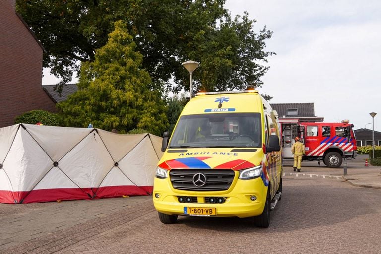Photo: Harrie Grikeseels/press agency Heitink.