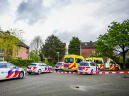 https://api.omroepbrabant.nl/img/f/$width$/$height$/0.59/0.66/bWVkaWEvcHJvZC80NDUyODM4LmpwZz9zdj0yMDE5LTA3LTA3JnN0PTIwMjAtMDEtMDFUMDAlM0E wMCUzQTAwWiZzZT0yMDQwLTAxLTAxVDAwJTNBMDAlM0EwMFomc3I9YiZzcD1yJnNpZz1rRjE2OEVFWEllMjRQbjUwcTUlMkJMQ1FnMGJxVGlwSVBJUGhLamQ3TTQlMkJNbyUzRA==