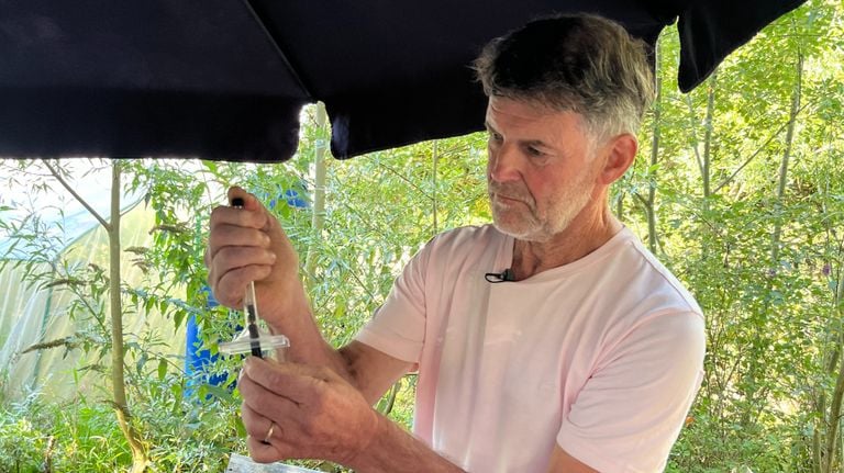A beekeeper who transmits a wasp to detect a nest, according to Zeegers unnecessary (photo: Omroep Brabant).