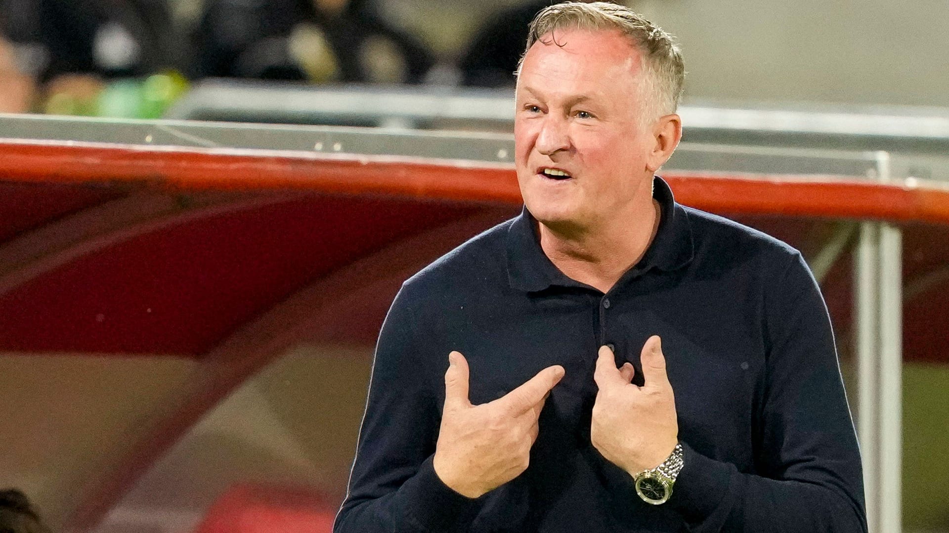 Michael O'Neill: For the northern Irish, the referee in the second round was too small.