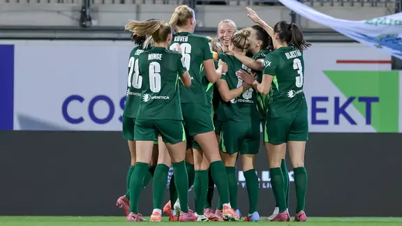 Game scene VfL Wolfsburg - Werder Bremen