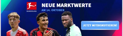 Now discuss the market values ​​of the Bundesliga!
