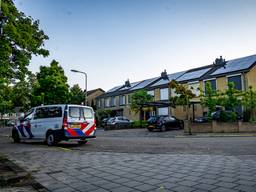 https://api.omroepbrabant.nl/img/f/$width$/$height$/0.14/0.65/bWVkaWEvcHJvZC80NzQ5NTYxLmpwZz9zdj0yMDE5LTA3LTA3JnN0PTIwMjAtMDEtMDFUMDAlM0E WMCUZQTAWIZZZT0YMDQWLTAXLTAXVDAWJTNBMDALM0EWMFOMC3I9YIYJNNPZZ1TR2LNMCUYRJVPOE4YSSWK0VTQULEMZIJSCUSSJZJZJGEMYXPE