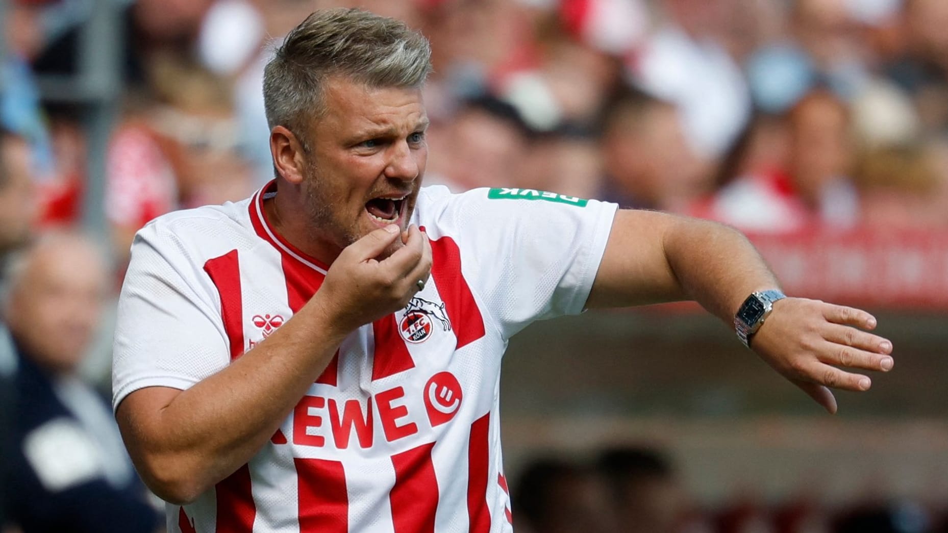Lukas Kwasniok: The Cologne coach chose a jersey on the sidelines. Lukas Kwasniok: The Cologne coach chose a jersey on the sidelines.
