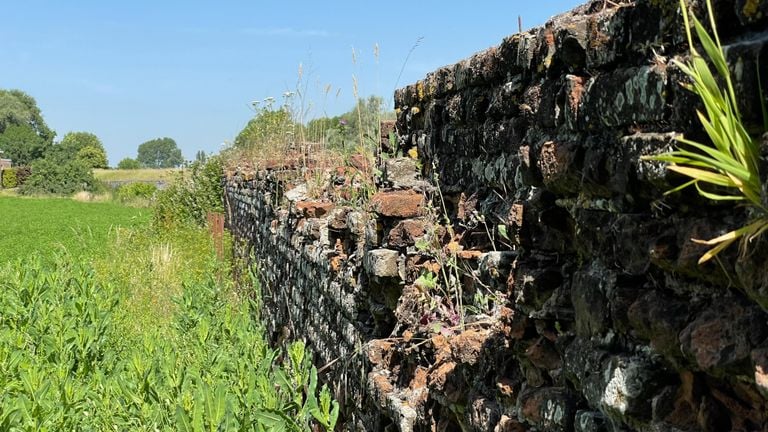 The monastery wall was in very bad shape (photo: Jos Verkuijlen).