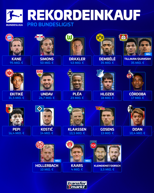 The record purchases per Bundesliga club