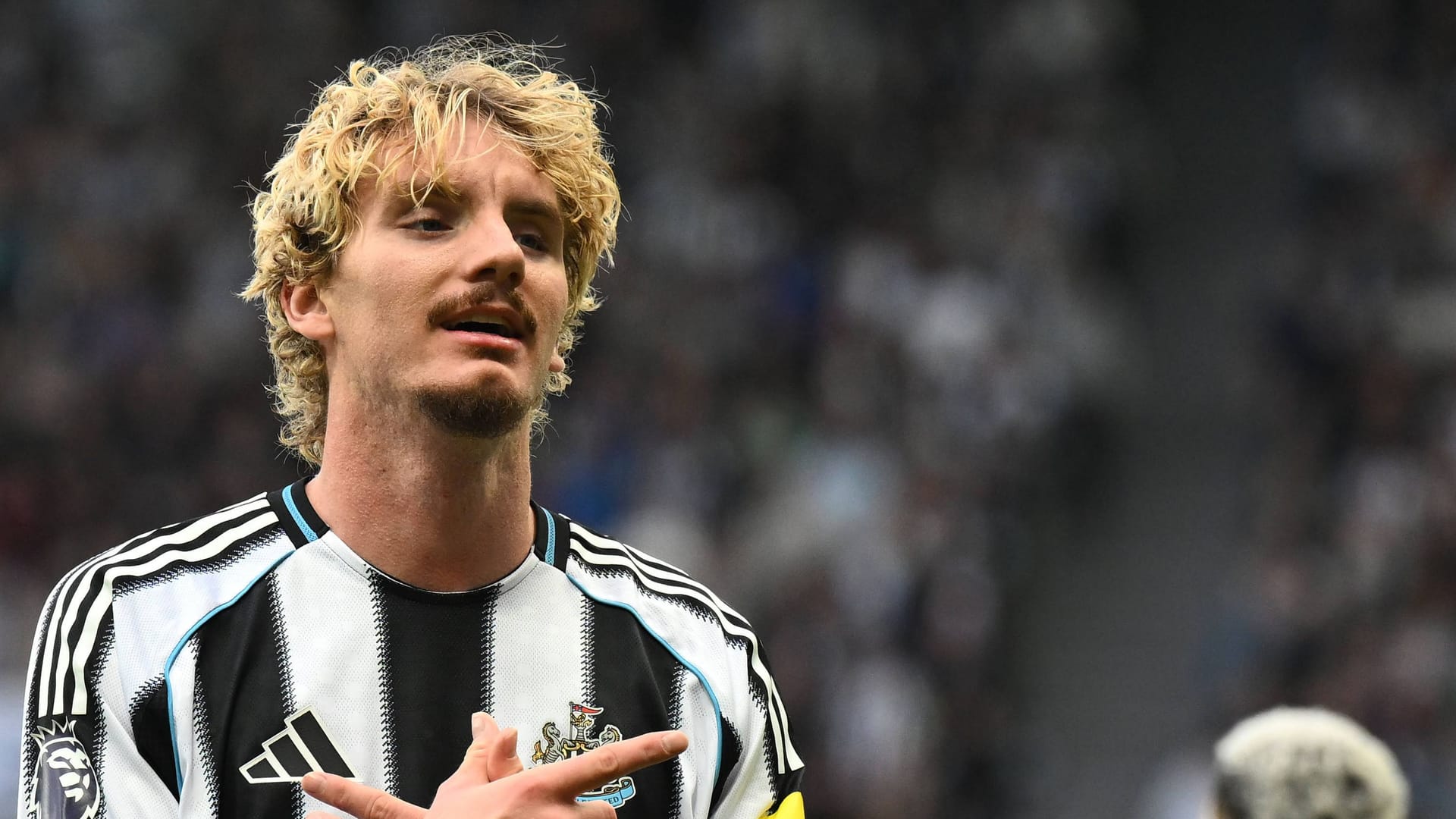 Nick Woltemade: So far he has scored two goals for Newcastle.
