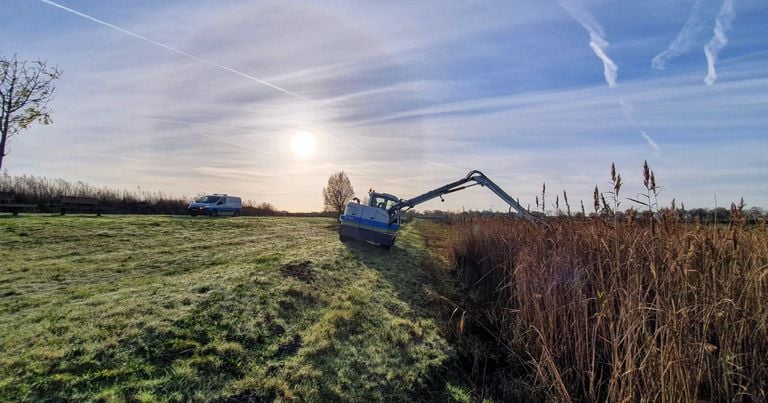 The old way of mowing (photo: Brabantse Delta water board).