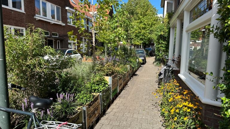 No car, but green in front of the door (photo: Rogier van Son). 