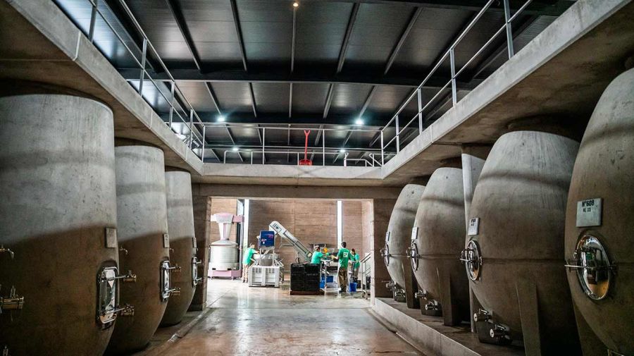 ZUCCARDI FAMILY 30092025