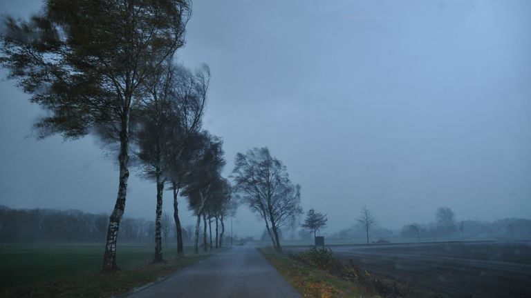 Strong gusts of wind are expected (archive photo: Ben Saanen).