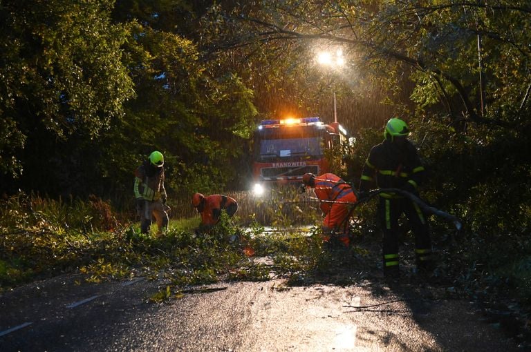 Falled tree in Galder (photo: Perry Roovers/Persbureau Heitink).