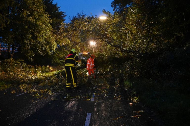 Falled tree in Galder (photo: Perry Roovers/Persbureau Heitink).
