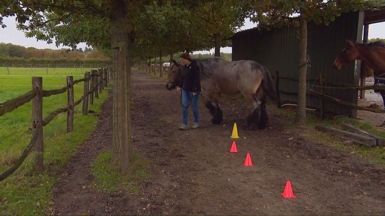 Sandra and Doortje are walking a course in search of obstacles in quitting smoking (photo: Omroep Brabant).