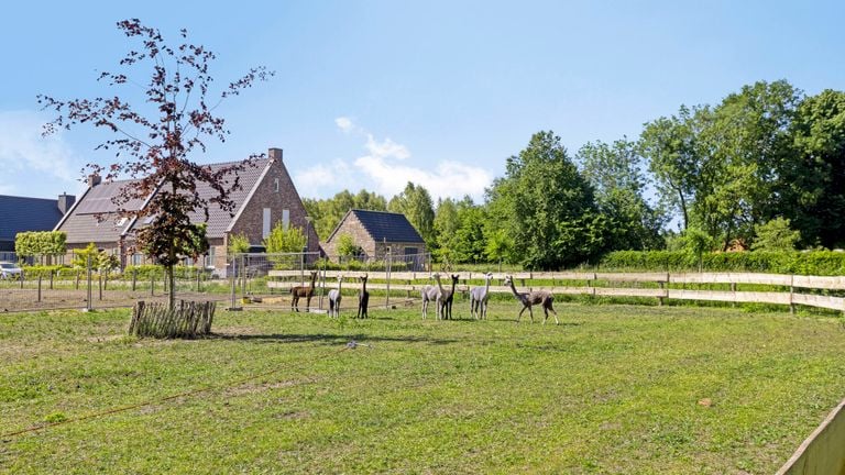 This is the view from the terrace (photo: Van Helvoort Makelaardij).