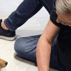 Alberto dogs | Photo: CEDOC