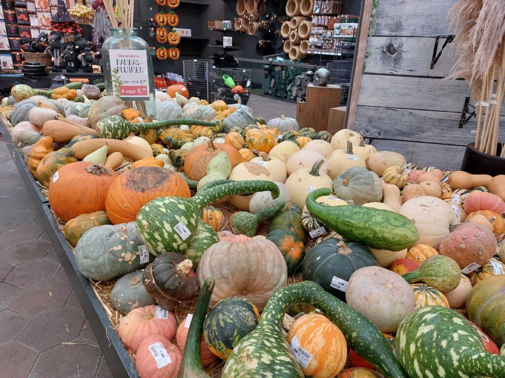 Pumpkins Zoetermeer